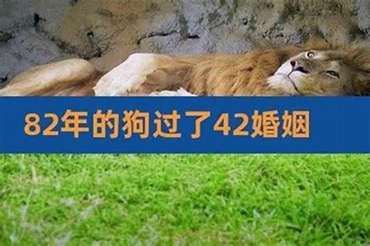 97年属牛女最佳婚配