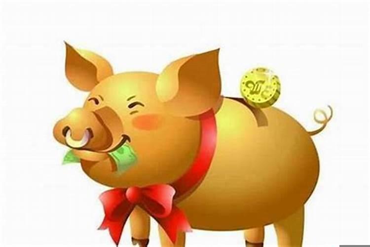 属猪的女生配什么属相