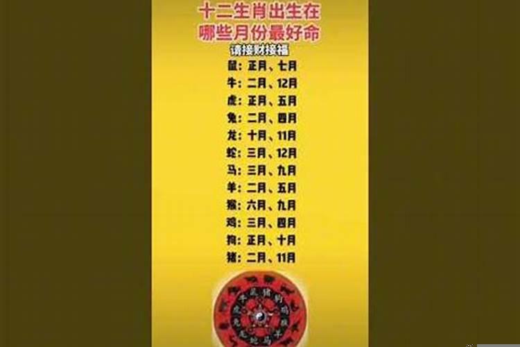 十二生肖出生在哪些月份命最好?
