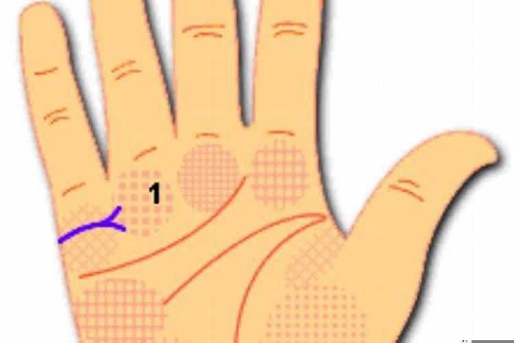 手相婚姻感情线