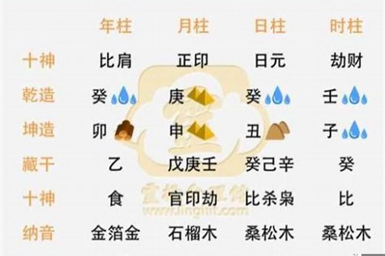 属羊今年婚姻运势如何