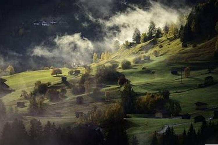 丁壬合是什么意思男