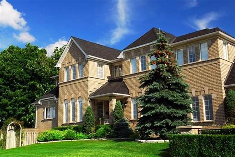 为什么很少人买别墅