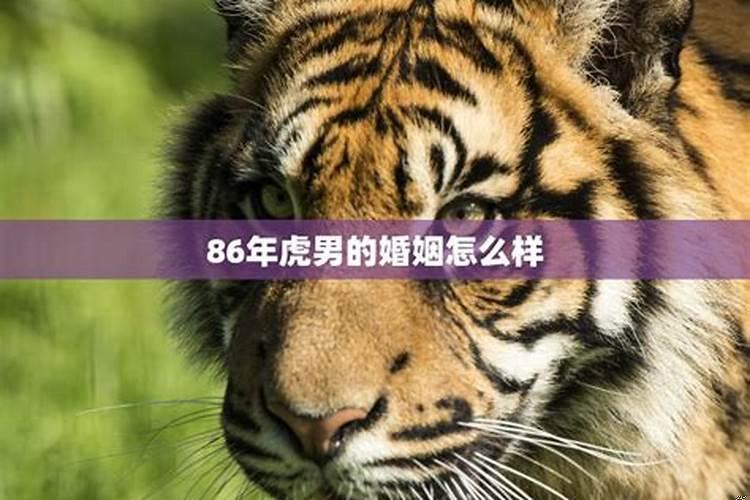 86年虎男的婚姻怎么样