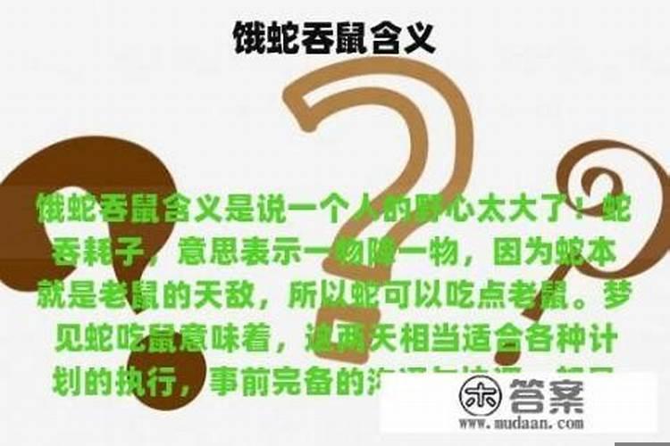 饿蛇吞鼠便是祸是什么生肖