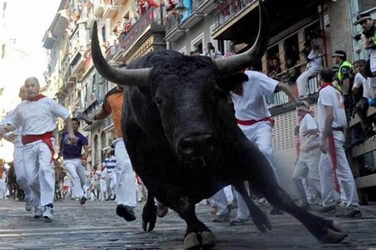 白天梦见被牛追赶攻击(梦见自己被一头牛追着攻击)