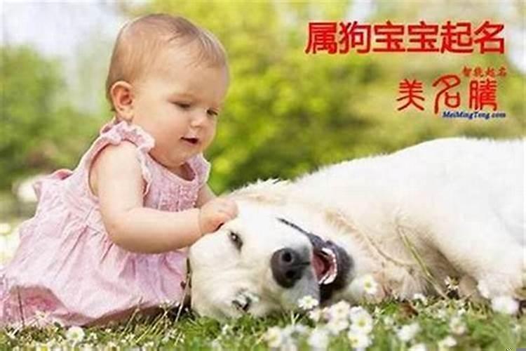 狗宝宝起什么名字