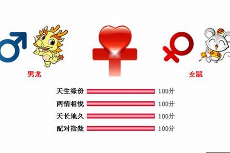 男鼠与女龙属相婚配可以吗