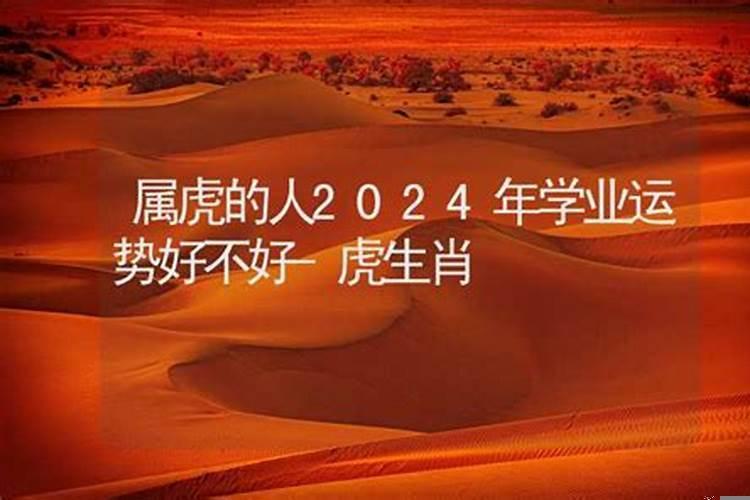 属虎的学生2020年运势