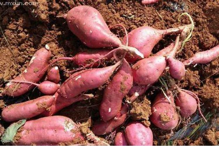 梦见和喜欢的男生牵手在一起了，梦到跟对象牵手