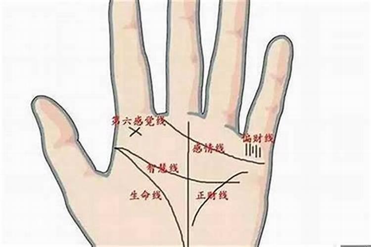 如何看手相的财运