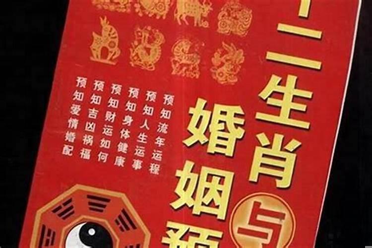 男女测八字姻缘