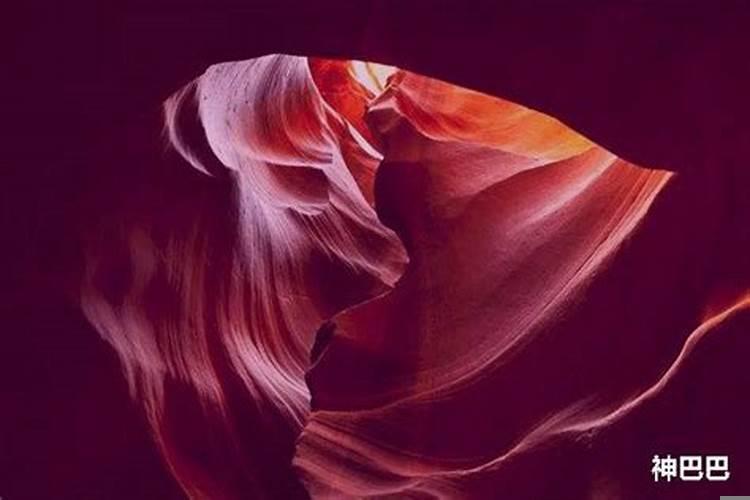 丙子日生于戊子月