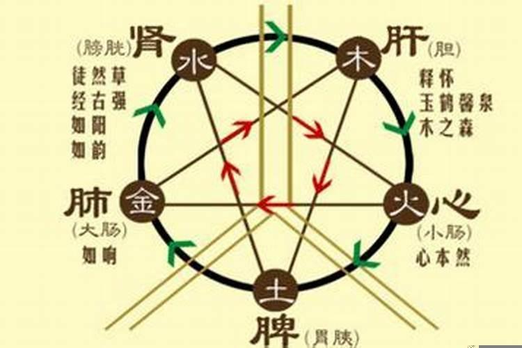怎么判断一个人的五行属性