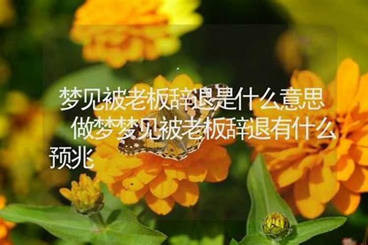 梦见买了一头牛是什么意思？梦见两头牛是什么预兆女人