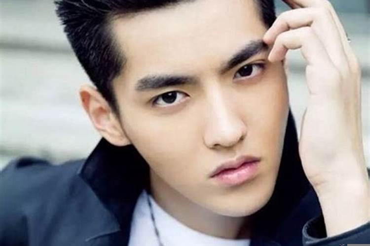 中国最美的美男子是谁