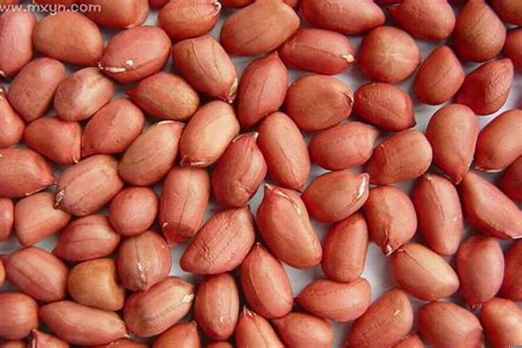 梦见在地里挖花生吃花生预示什么?