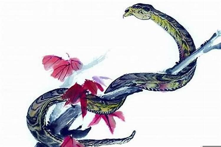 属蛇和属蛇的结婚合适吗