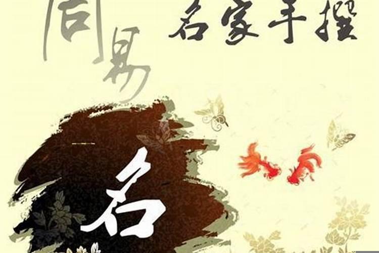 正印夺食伤什么意思