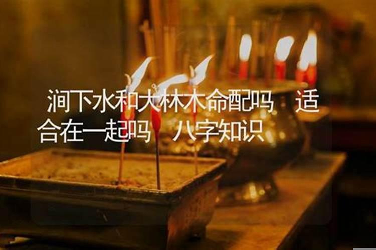 大林木命与涧下水水命婚姻相配吗