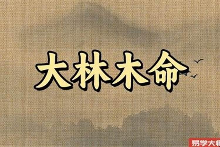 大林木生壁上土的孩子好吗