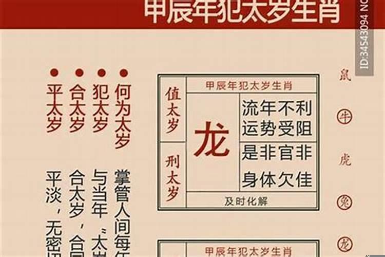 2020年本命年属什么