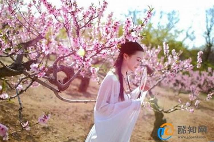 女生来桃花运之前的征兆