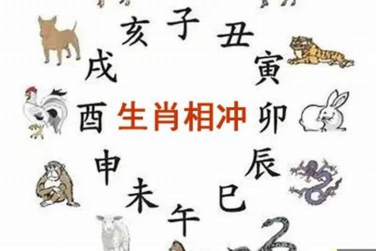 2021年9月6日什么生肖相冲