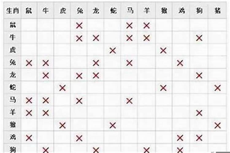 属马配什么属相最好呢