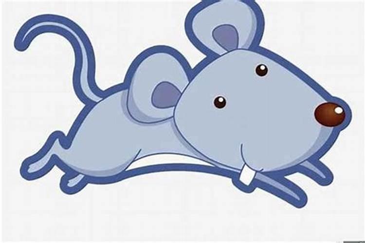 属鼠与属蛇婚姻是否能在一起