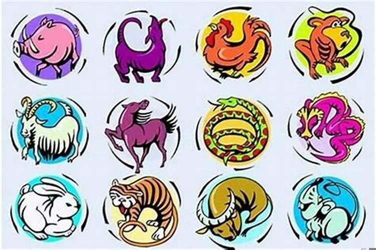 很容易放弃感情的生肖女