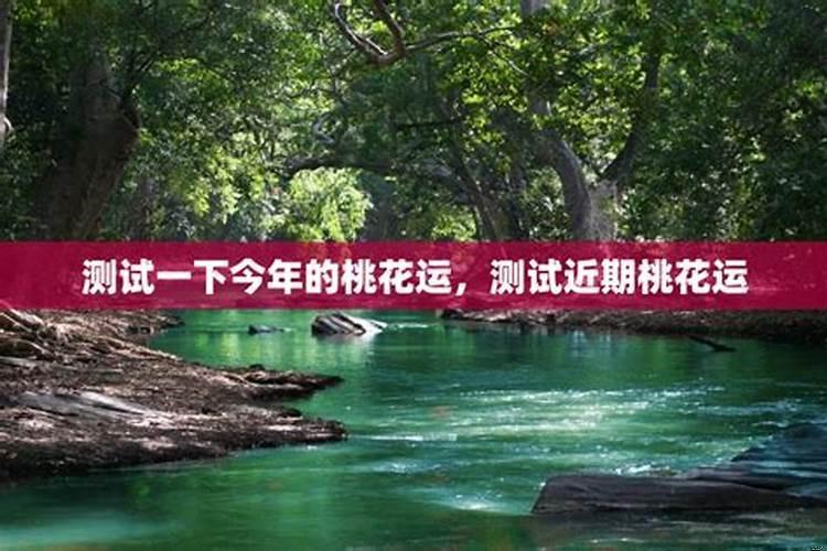 测试最近会有桃花运吗