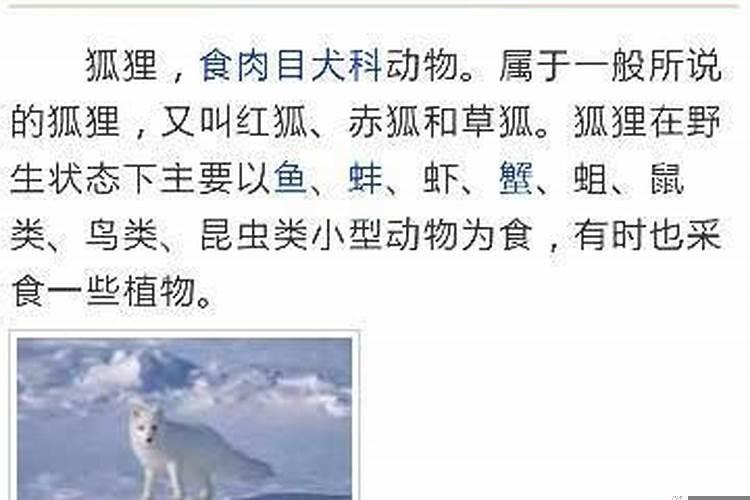 十二生肖中谁是狐狸