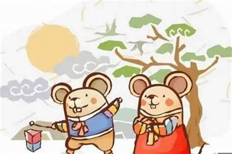 属鼠与属蛇婚姻是否能在一起