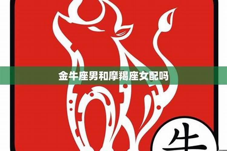 金牛座配吗