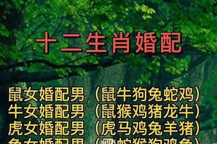 男女婚配表对婚