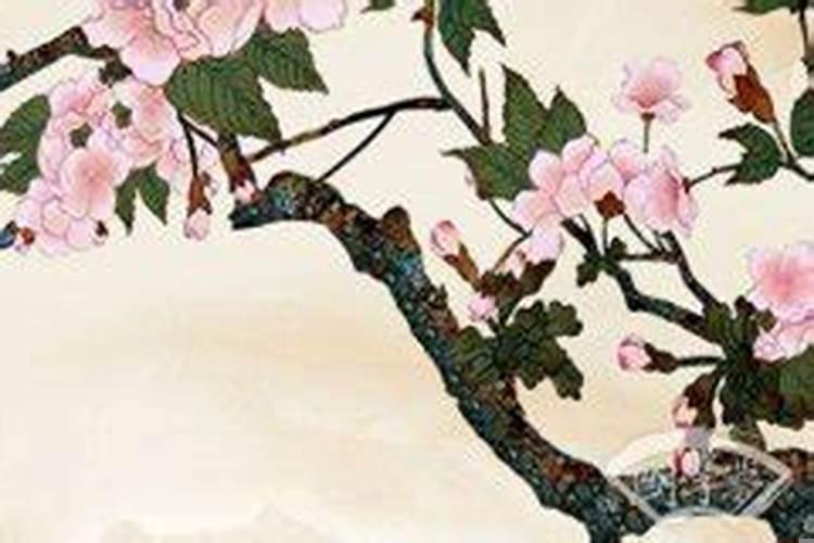 1993年属鸡人2022年全年运势