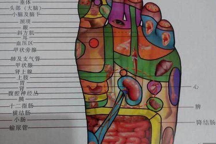 脚大脚粗的女人好不好