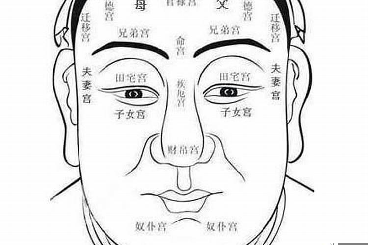 哪些面相的人是既聪明财运又好的