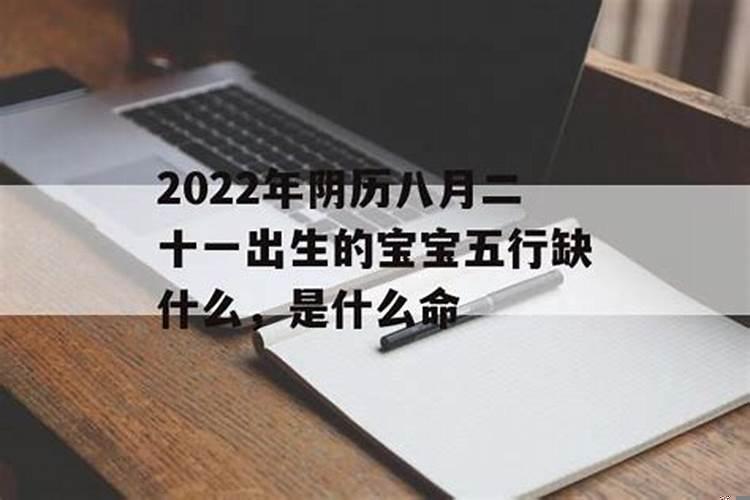 农历2025年8月17日出生的宝宝