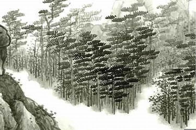 梦见豹子咬我是什么意思周公解梦