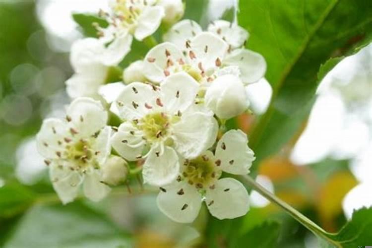 如何看一个人的桃花运