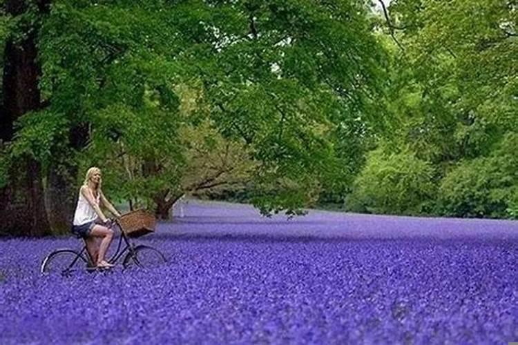 测试最近会有桃花运吗