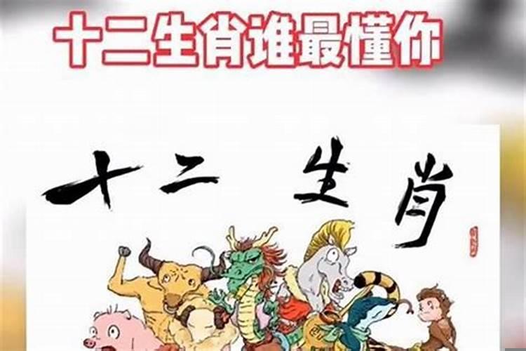 不能惹的三大生肖