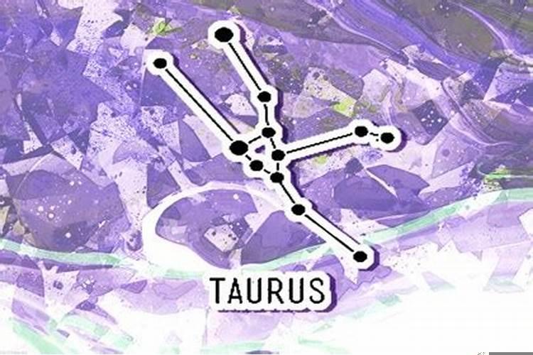 不善于表达感情的星座