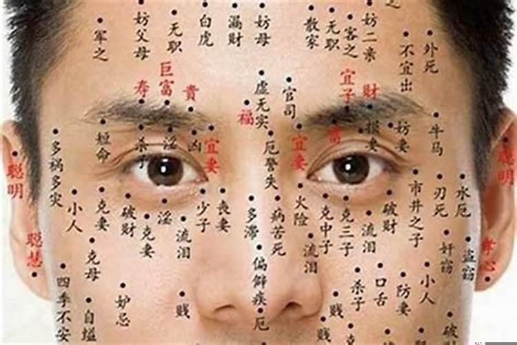 哪些面相的人是既聪明财运又好的