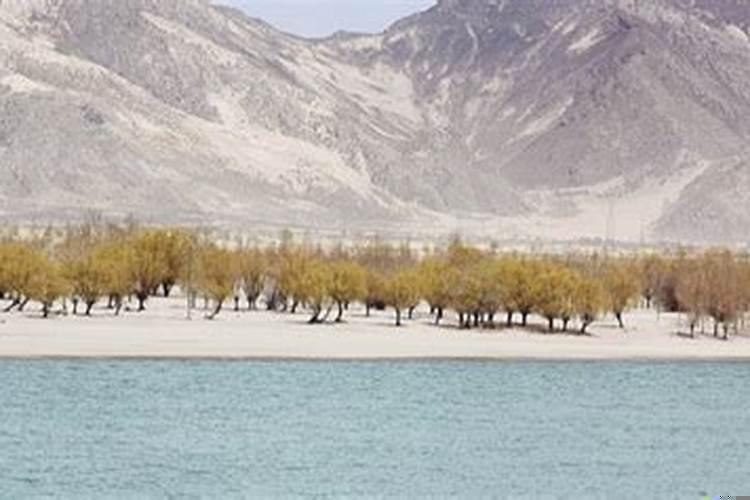 1993年属鸡人2022年全年运势