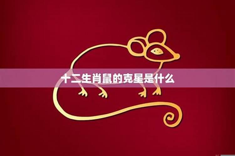 属鼠一生最大克星