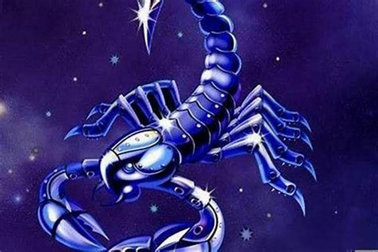 天蝎座的一切怎么样