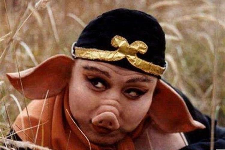 猪八戒真实实力与身份